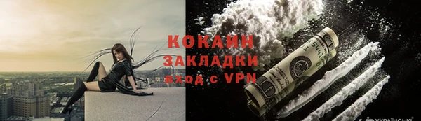соль ск Переславль-Залесский