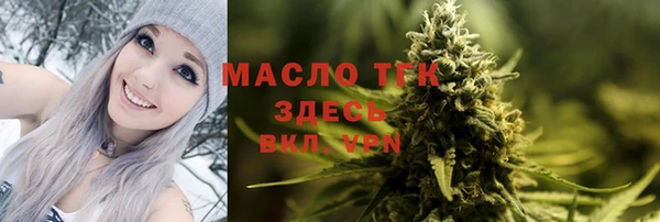 дмт Пестово