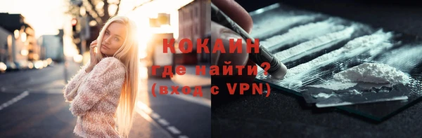 дмт Пестово
