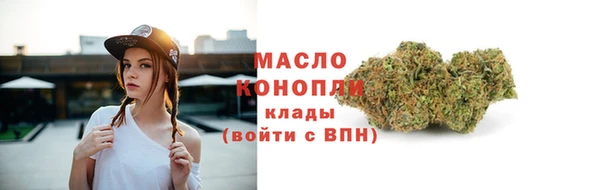 дмт Пестово