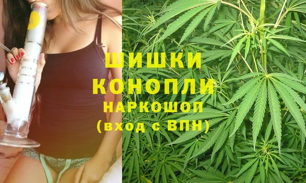 мяу мяу мука Пересвет