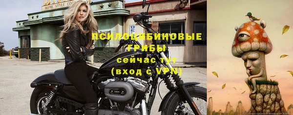 соль ск Переславль-Залесский