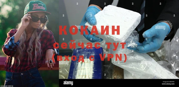 соль ск Переславль-Залесский