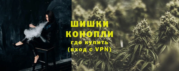 дмт Пестово