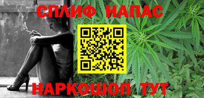 сатива Апшеронск