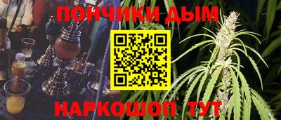 гидра Аргун