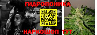 сатива Апшеронск