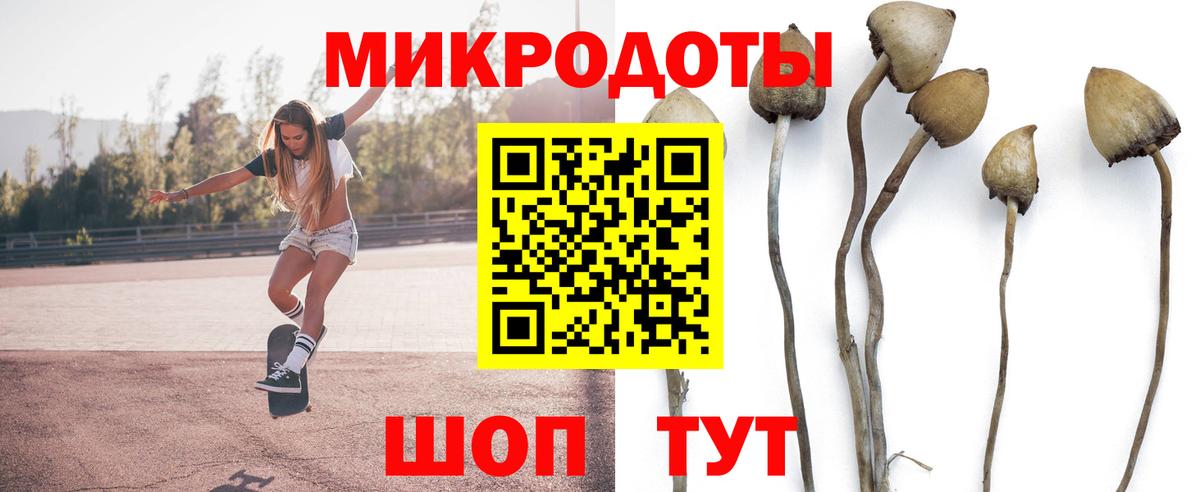 Апшеронск  Псилоцибиновые грибы прущие грибы  Галлюциногенные грибы MAGIC MUSHROOMS  Вход с VPN 