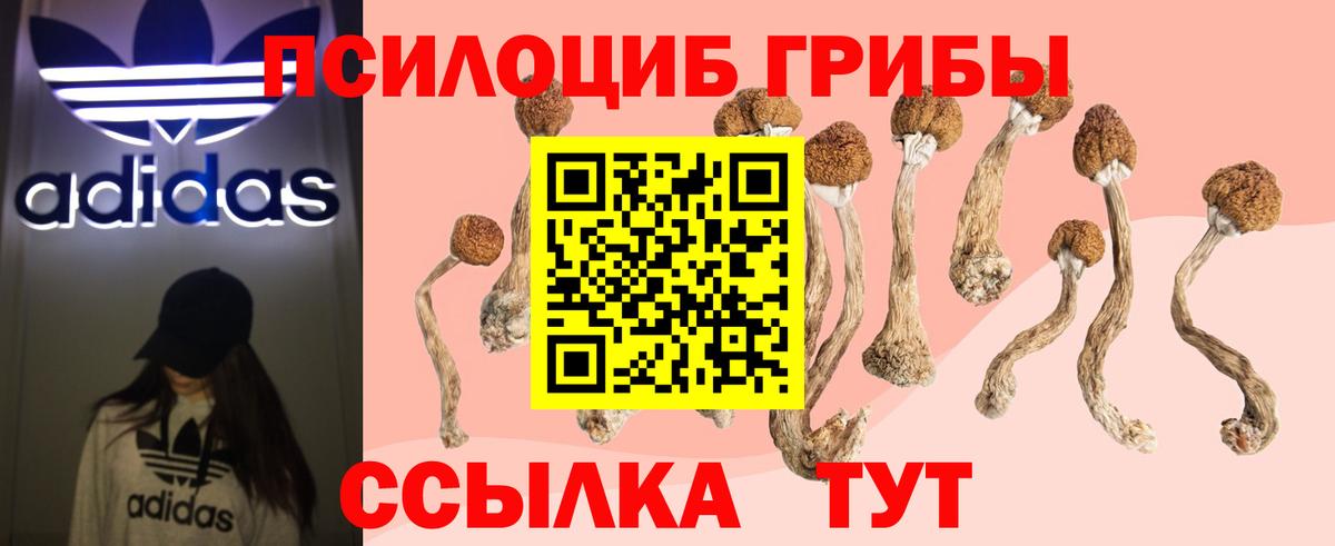 Псилоцибиновые грибы Magic Shrooms  Апшеронск  Галлюциногенные грибы мухоморы 